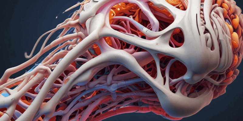 Biomechanics & Surgery: Tissue Mechanics II Bone