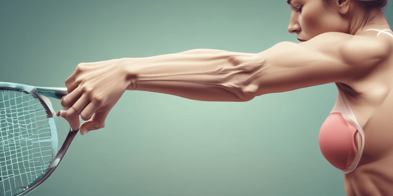 Tennis Elbow Overview
