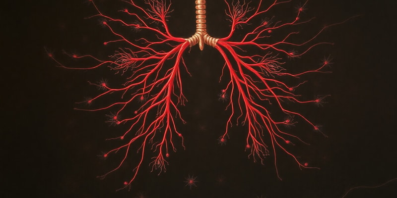 Human Biology: Respiratory System and Energy Production