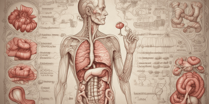 Digestive System Overview