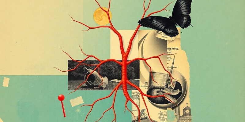 Autonomic Nervous System Overview