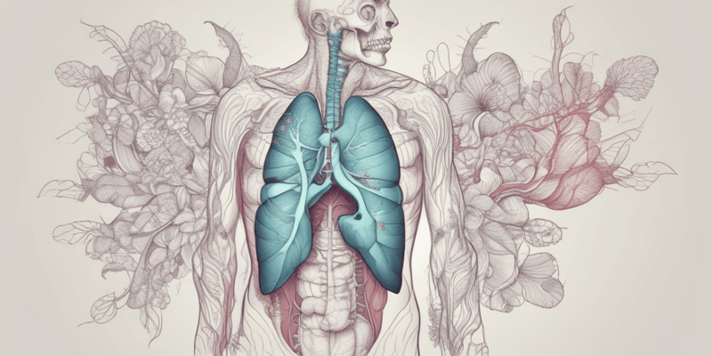 Respiratory Anatomy A.6