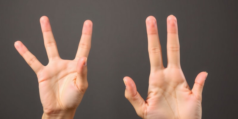 Fingerspelling Rules and Tips - Unit 1.2