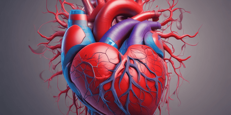 Blood Flow Modeling Activity: Heart Model Creation