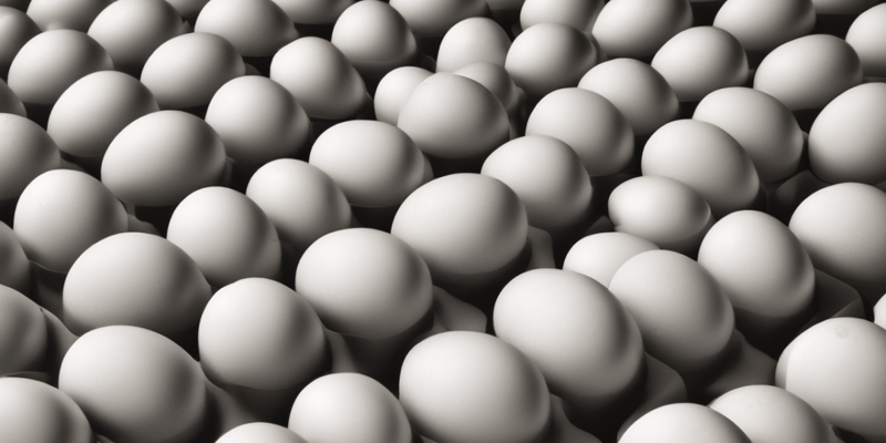 Egg Grading and Quality Factors
