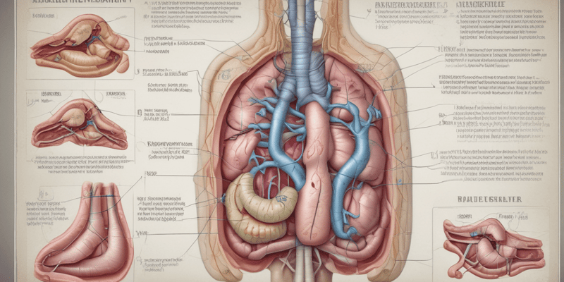 Anatomy of Bile Ducts