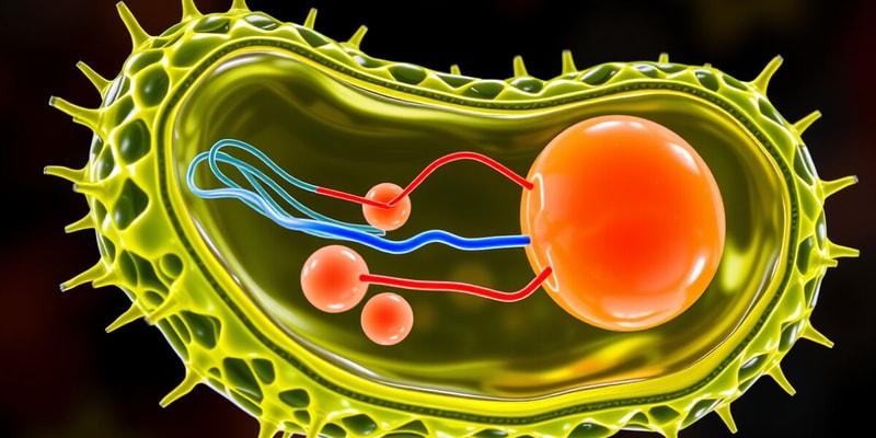 Molecular Transport Concepts