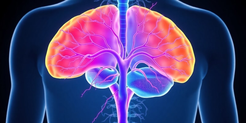 Functions and Divisions of the Nervous System