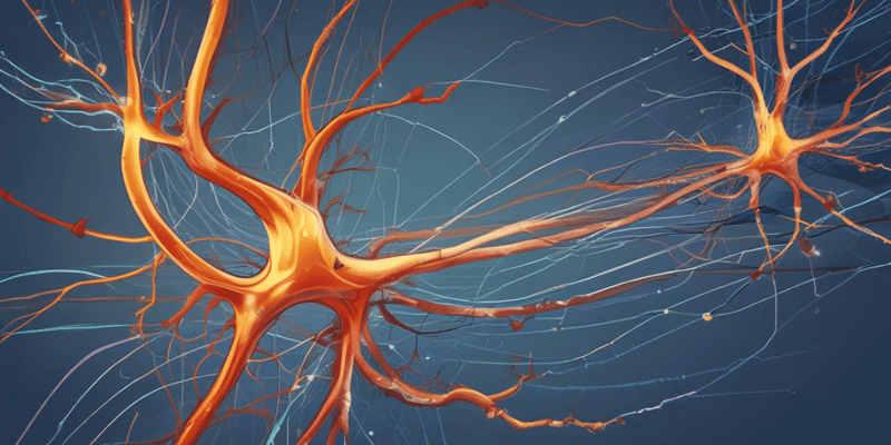 Physiology & Anatomy of Systems Quiz