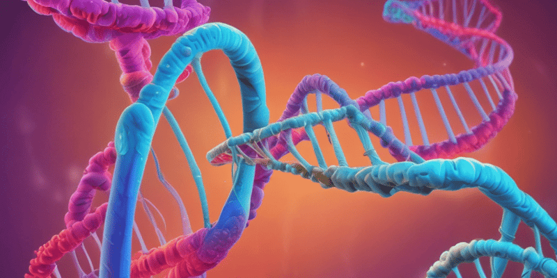 1.1 DNA: Ligging, Struktuur, en Funksies