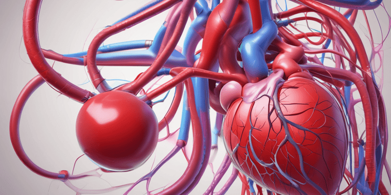 Blood Flow and Blood Pressure in the Circulatory System