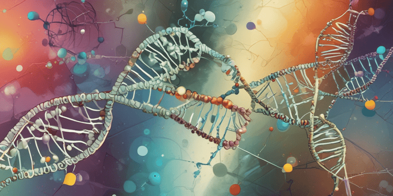 Phosphodiester Bonds in DNA and RNA