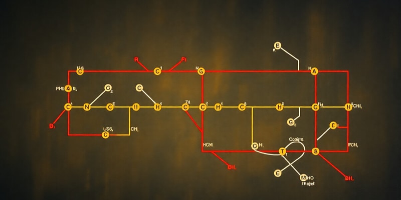 Decarbossilazione Ossidativa e Ciclo di Krebs