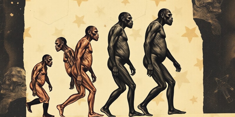 Human Evolution and Genus Homo