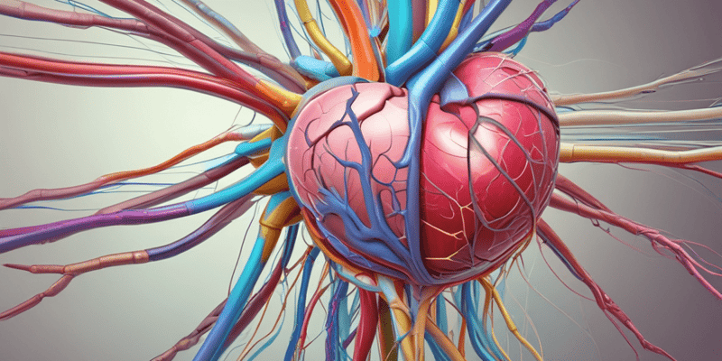 L17 Autonomic Control of the Heart