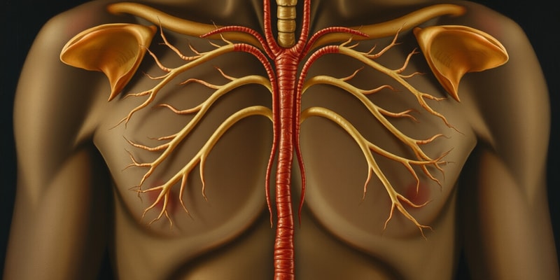 Overview of the Endocrine System