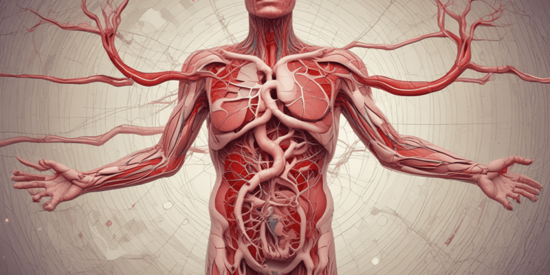 Cardiovascular System Circulation