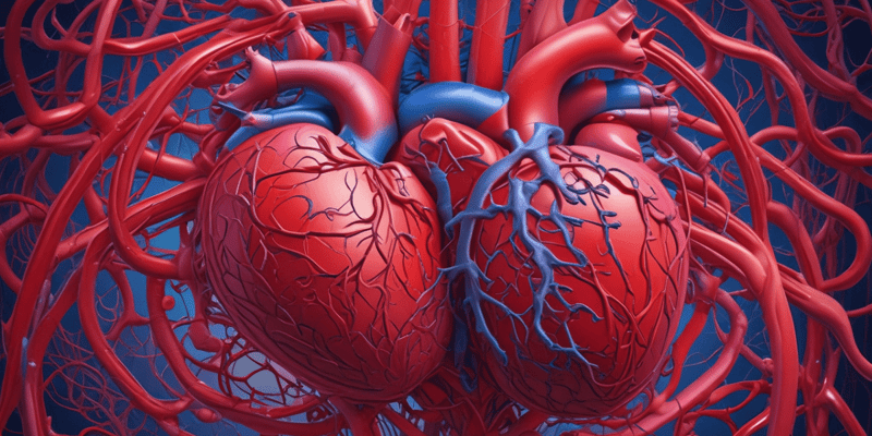 Cardiovascular System: Heart and Blood Vessels