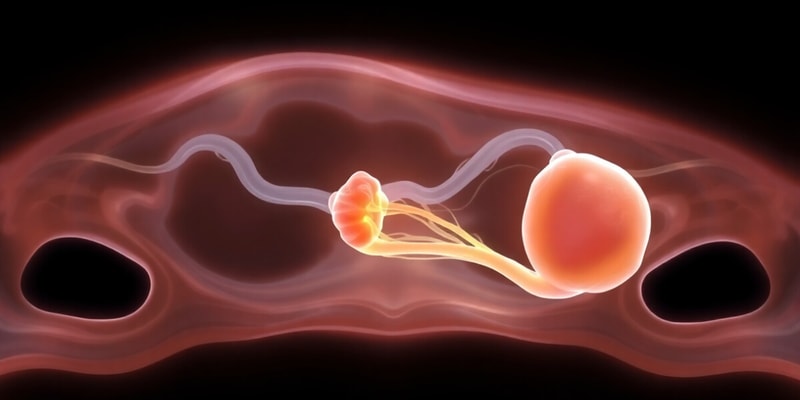 Salivary Gland Development