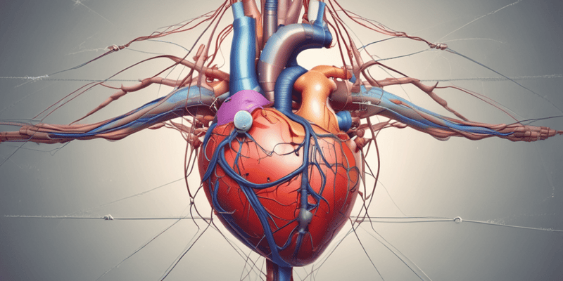 Physiology of Cardiac Function