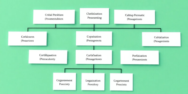 Organizational Structures Overview