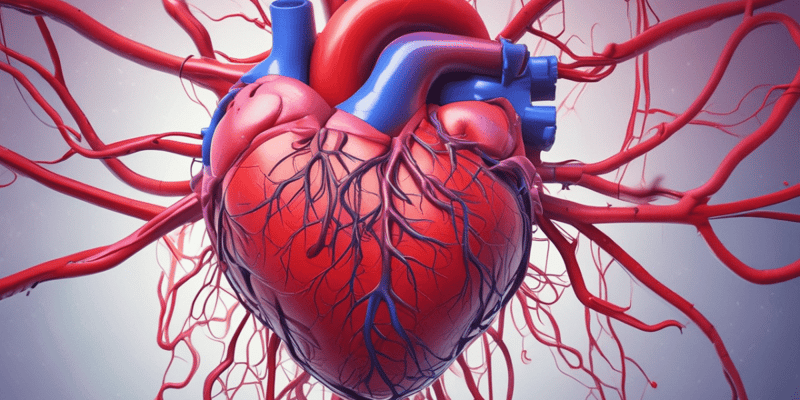 Coronary Blood Flow Autoregulation Quiz