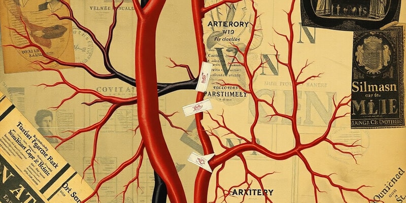 Circulatory System Overview Quiz