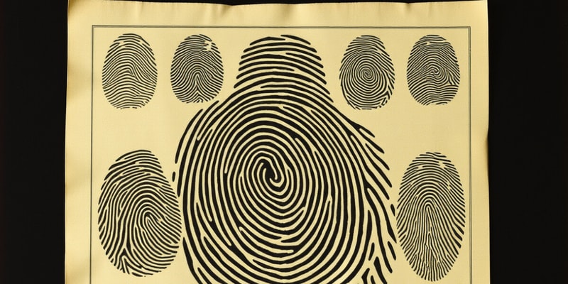 Fingerprint Classification Systems