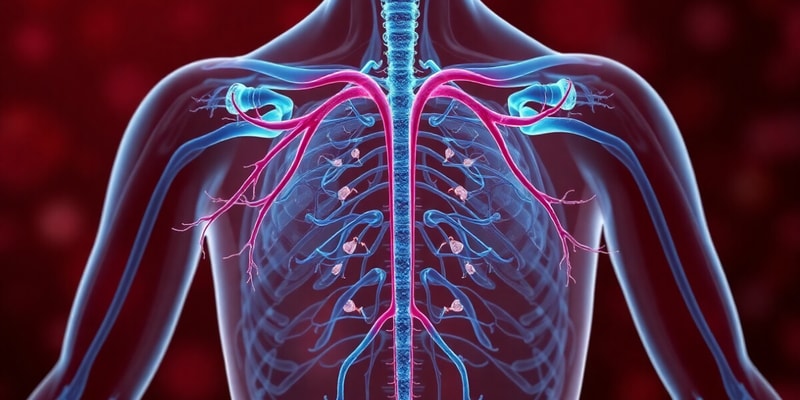 Endocrine System Overview