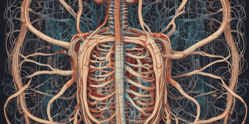 Enteric Nervous System (ENS) Functions
