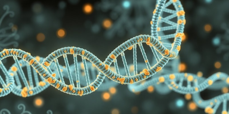 Life Formation, DNA Replication, and Evolution