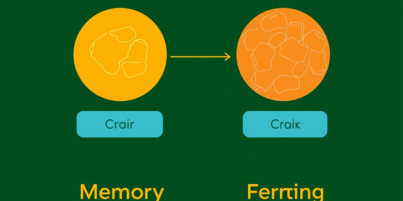 Memory Types and Functions