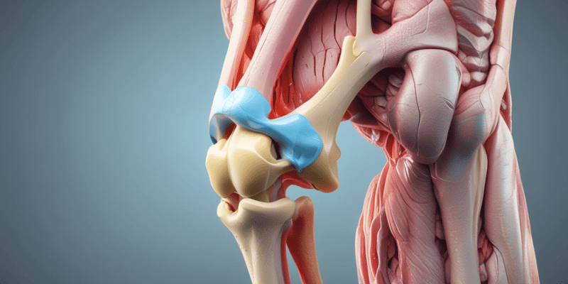 Human Anatomy: Knee Ligaments Quiz