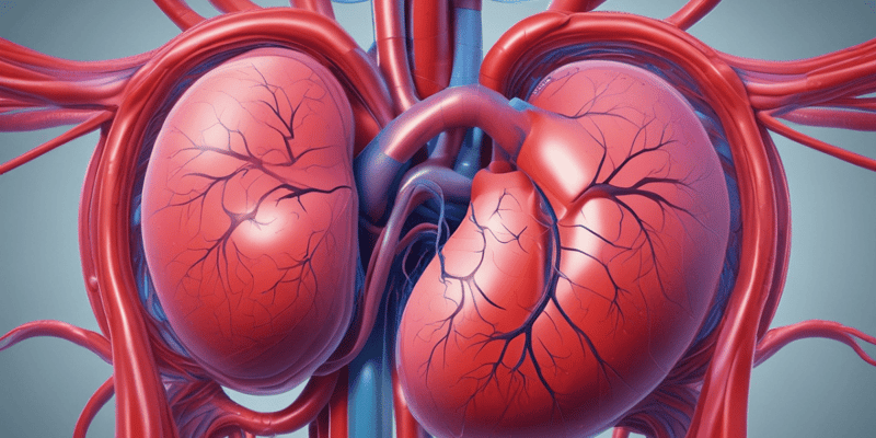 Liver Blood Flow Sources and Functions Quiz