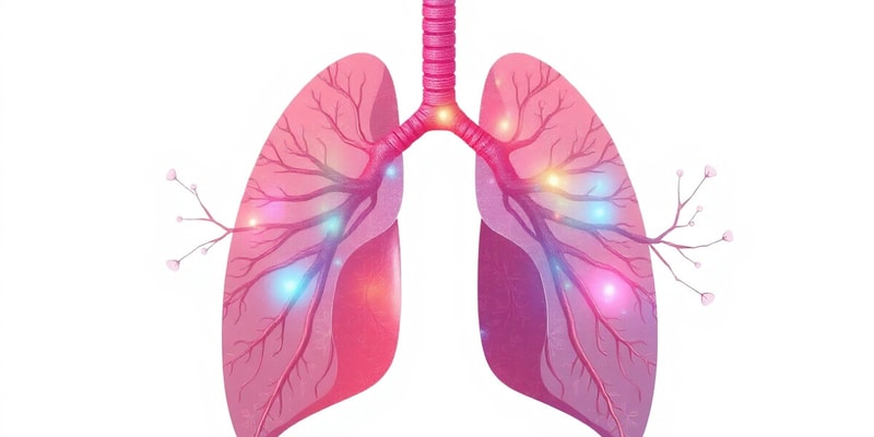 Respiratory System Overview