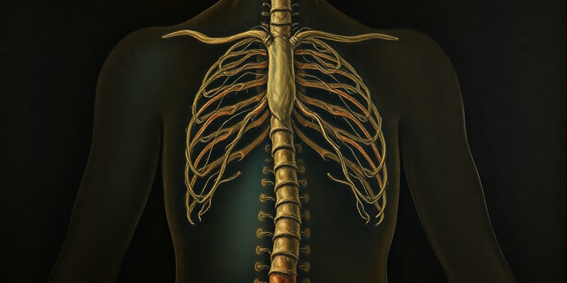 Endocrine System and Chemical Communication