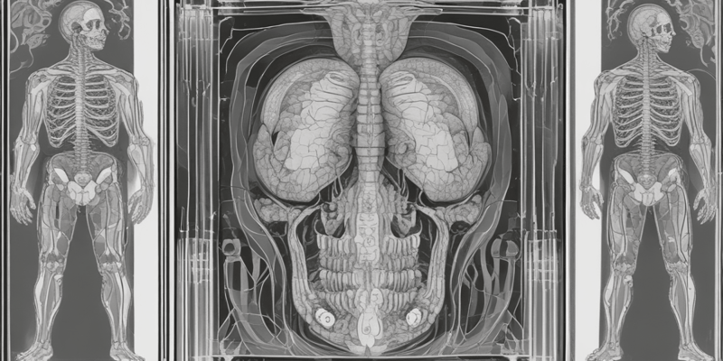 Computed Tomography (CT) Scan Principle