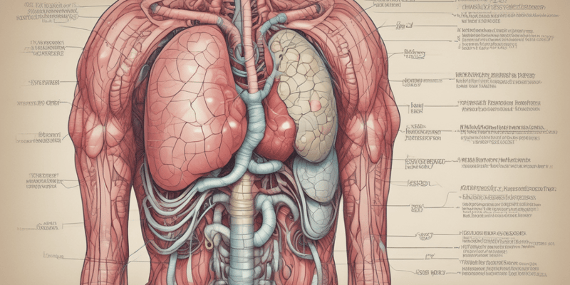 The Digestive System: Key Processes and Functions