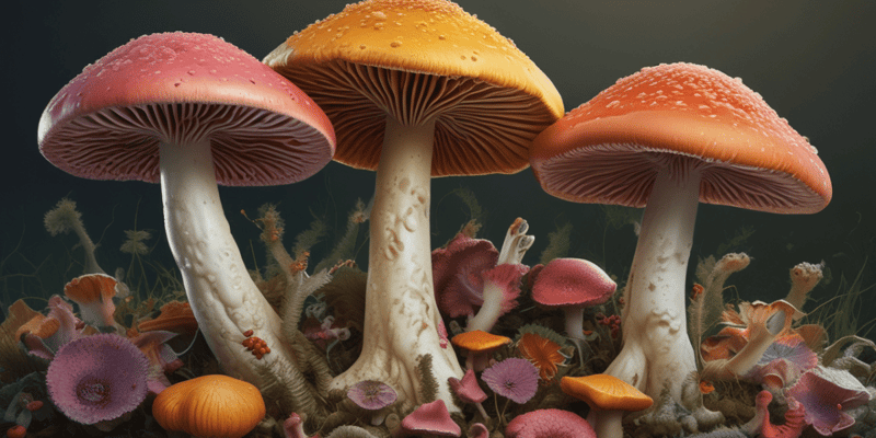 Fungi Types and Reproduction Quiz