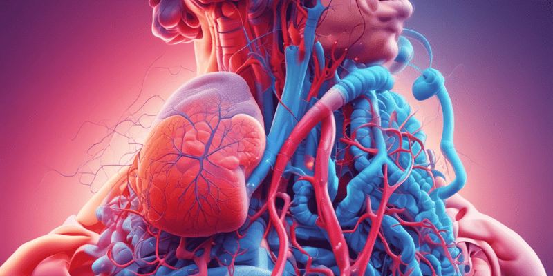 Respiratory and Cardiovascular System Quiz