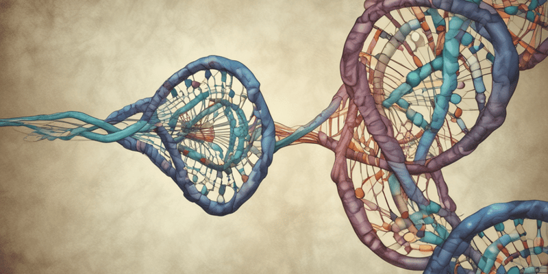 Mendel's Genetic Crosses