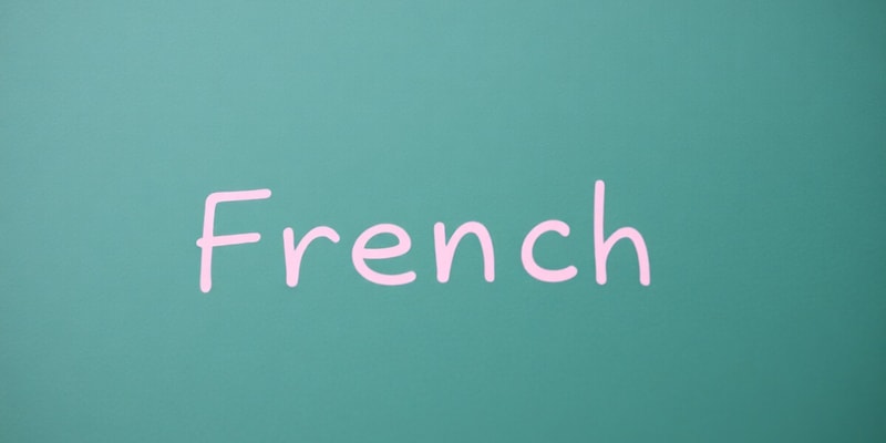 French Grammar and Vocabulary Quiz