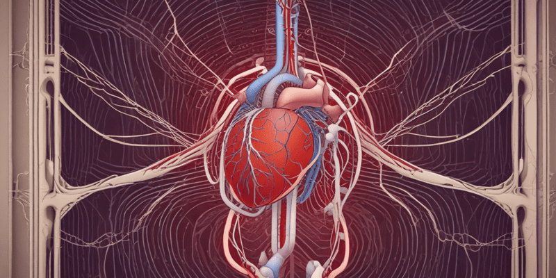 Cardiovascular System: Arteries and Veins