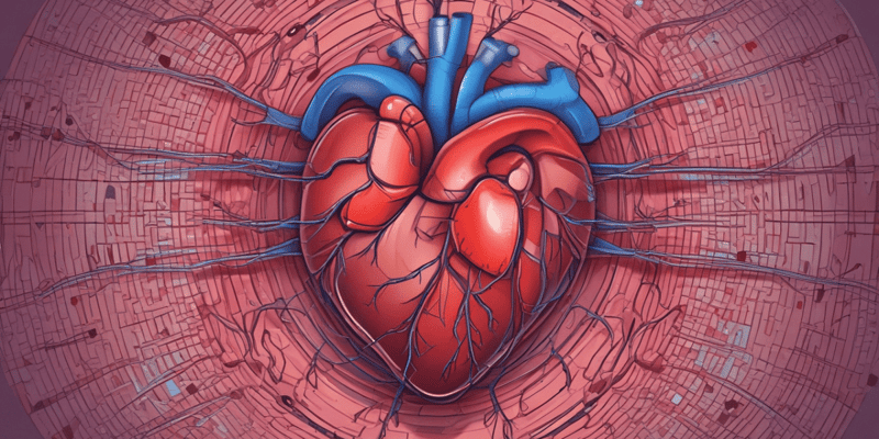 Common Heart Conditions and Diseases