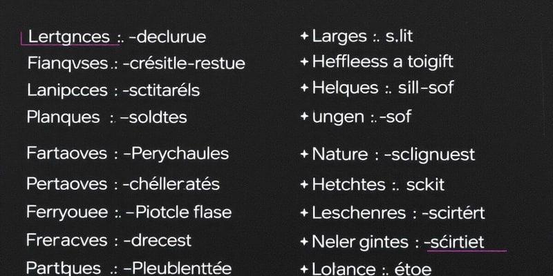 French Vocabulary Basics