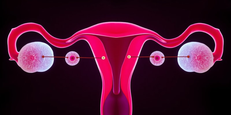 Ovarian Cycle and Follicle Development