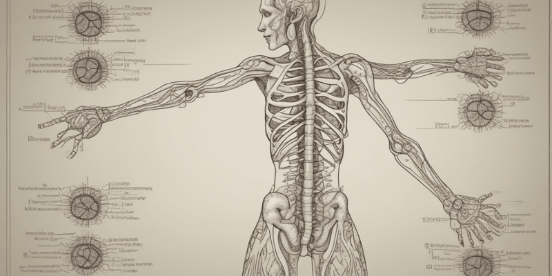 Anatomy of the Autonomic Nervous System