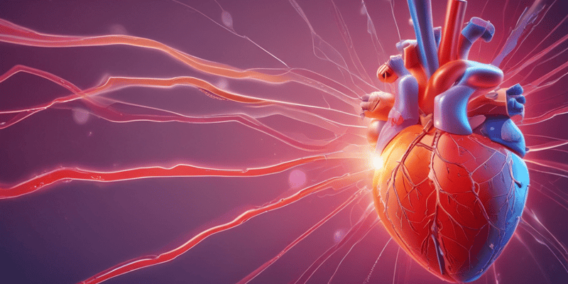 Ch 13 - part 1   Cardiac Conduction System Quiz
