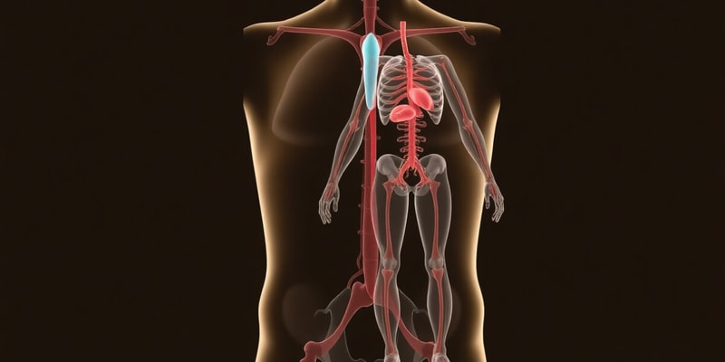 Human Growth & Endocrine System Overview