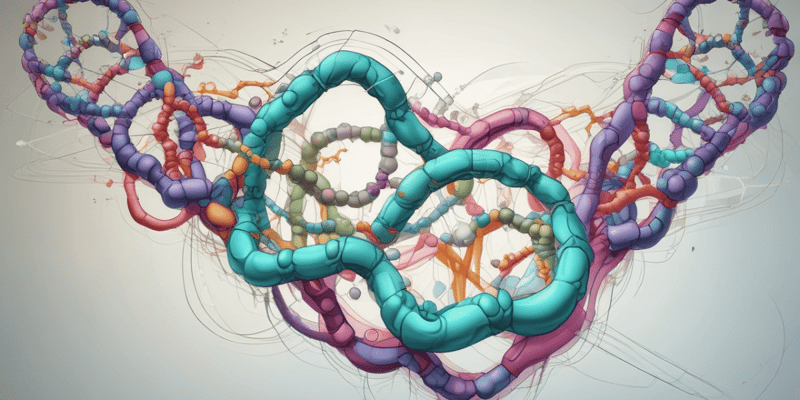 Biology Quiz: DNA, RNA, and Organisms